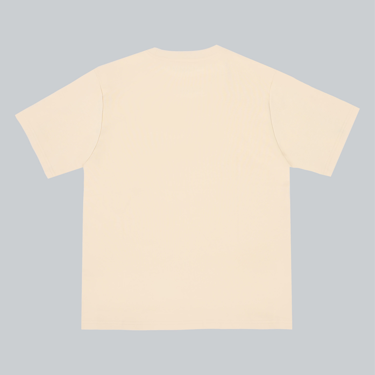 BSPATR-010 apricot02